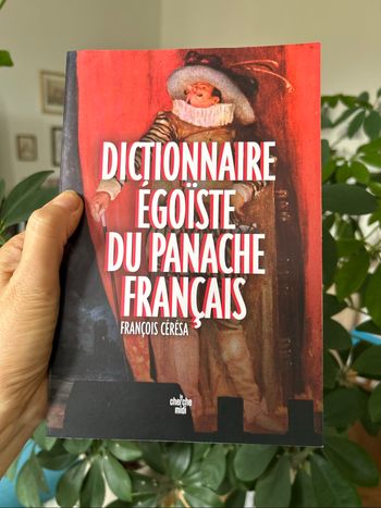 Dictionnaire égoiste du panache français