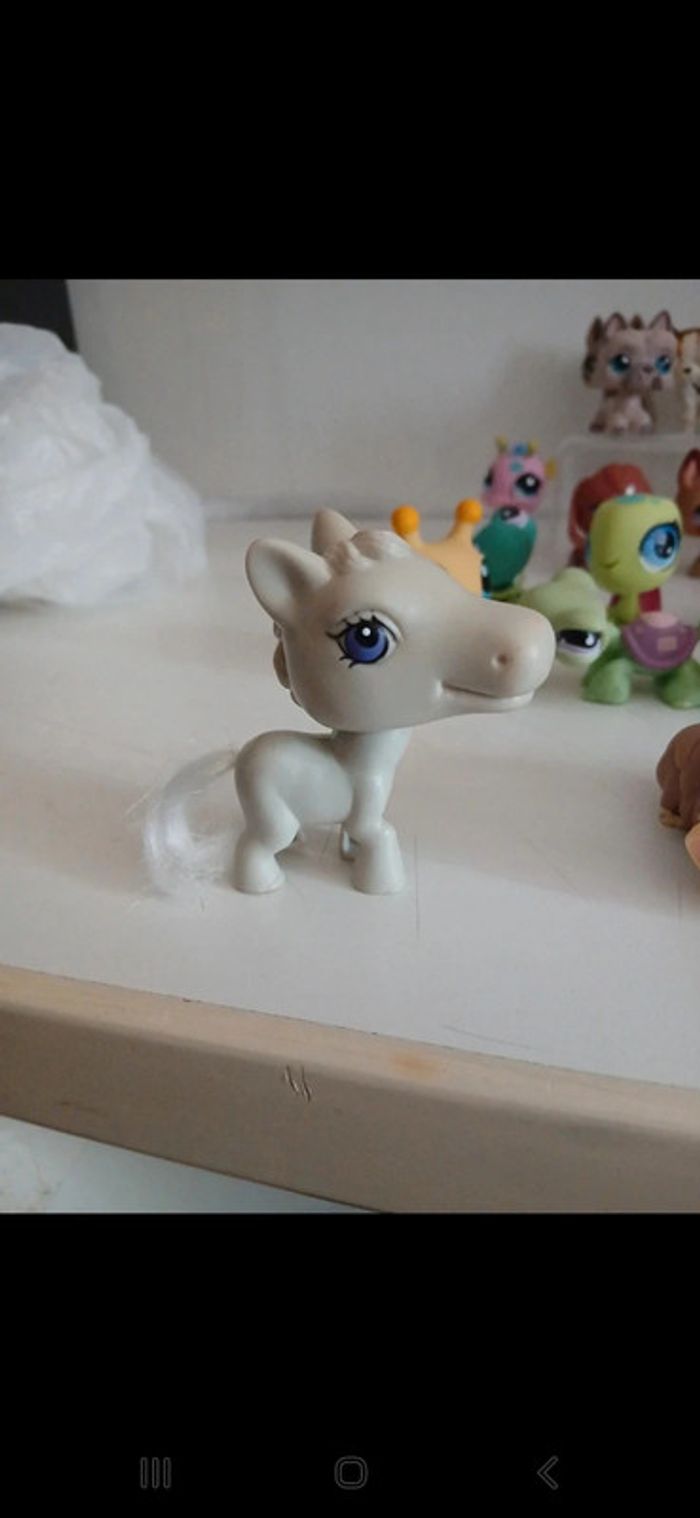 Littlest petshop - photo numéro 12