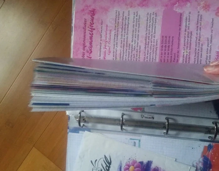 Classeur diddl avec feuilles diddl anciennes rares - photo numéro 3