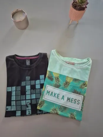 Lot de 2 tee-shirts Zara 9/10 ans