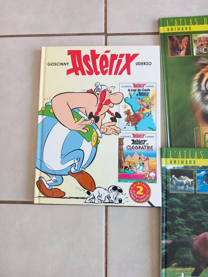Lot livres bd - photo numéro 2