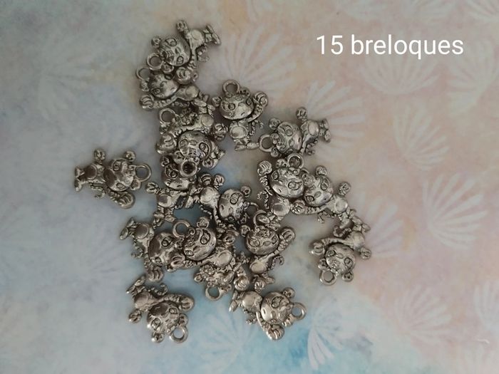 Lot de 255 breloques - photo numéro 5