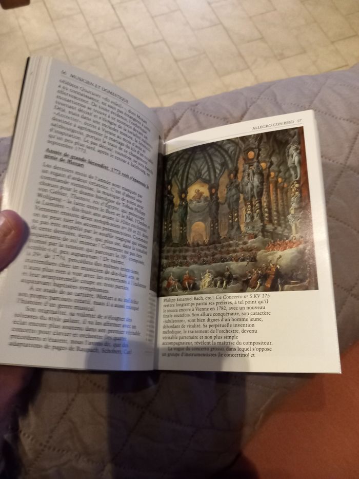 Mozart aimé des dieux - photo numéro 6