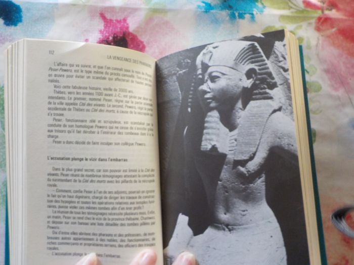 LA VENGEANCE DES PHARAONS de Yves NAUD Ed. Famot - photo numéro 9