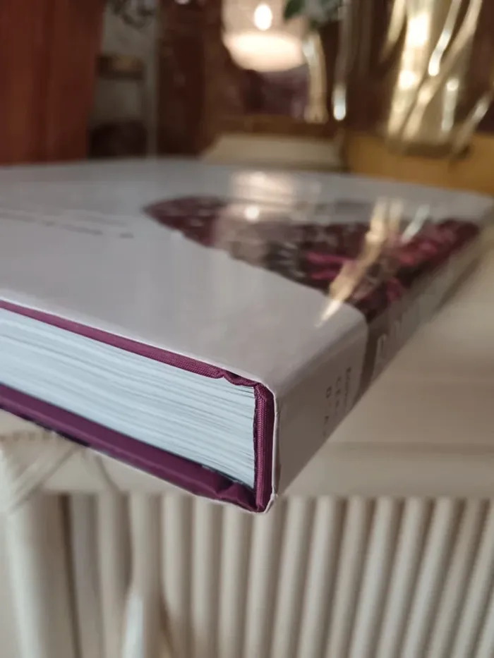Livre Boucheron la capture de l'éclat - photo numéro 16