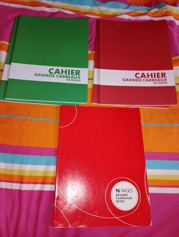 Lot de 5 cahiers neuf 24x32 cm