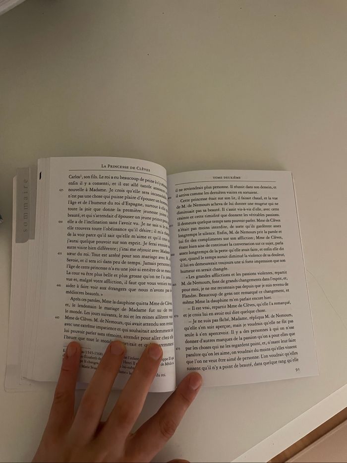 Livre la princesse de cleves - photo numéro 2