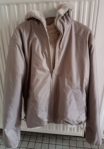 Manteau