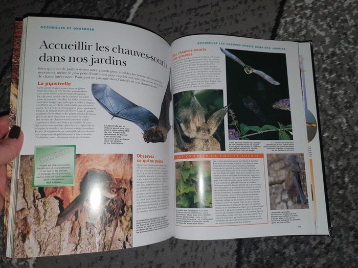 Livre "La vie cachée des jardins" - photo numéro 4
