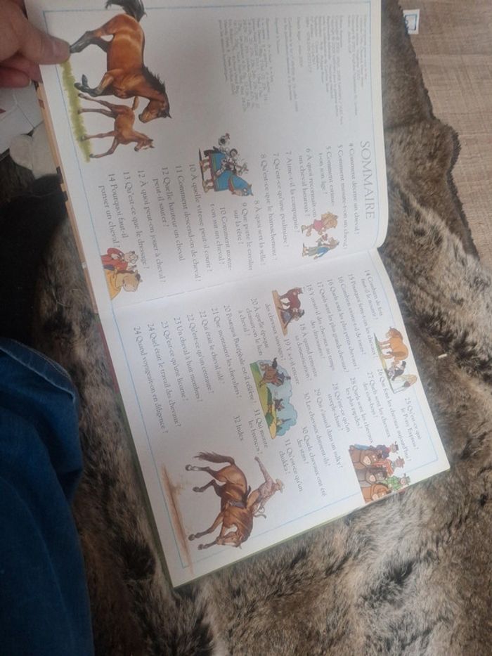 Livres les chevaux - photo numéro 6