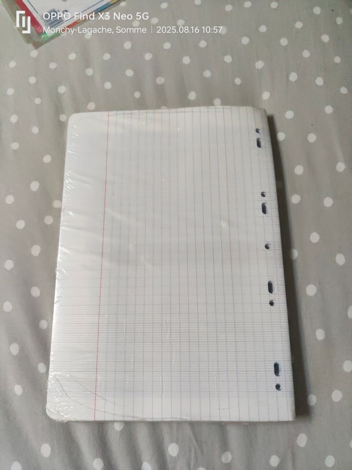 400 feuilles simples perforées grand carreaux 21x29.7cm