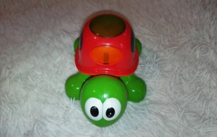 Tortue musicale et lumineuse