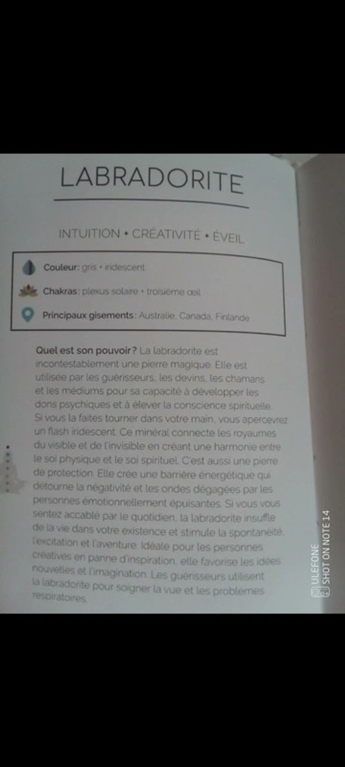 Collier pierre de labradorite à flash bleu intense - photo numéro 2