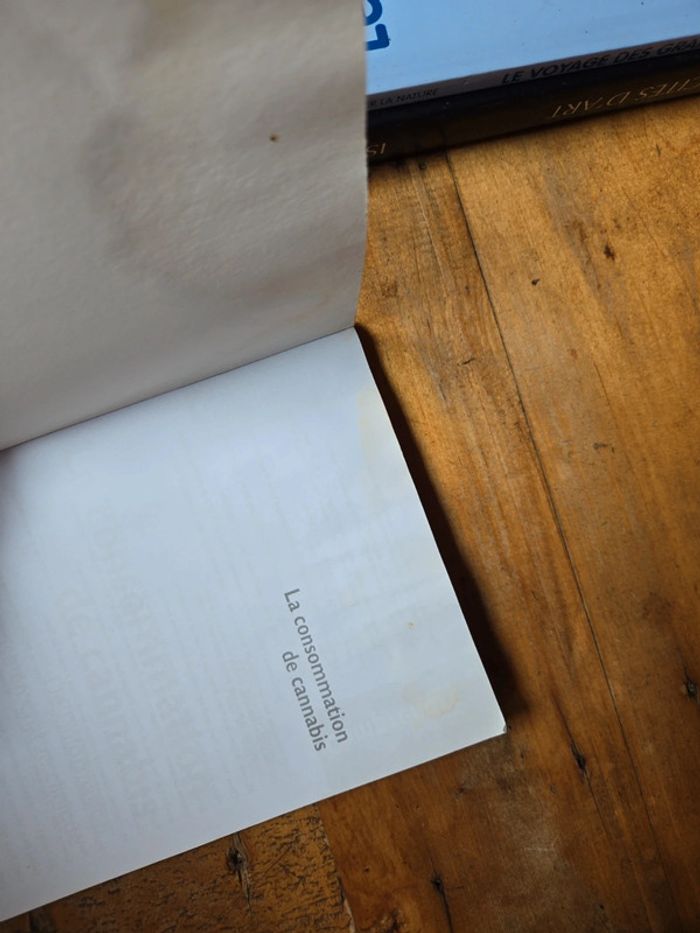 Livre "La consommation de cannabis" - photo numéro 3