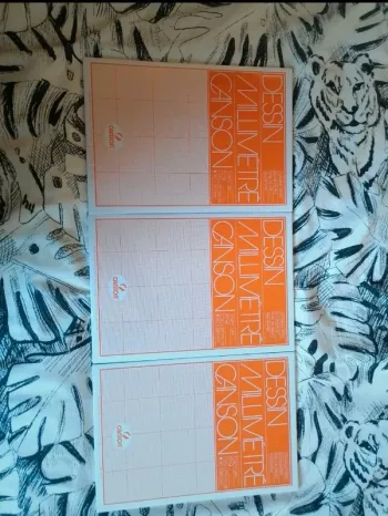 Lot de 3 blocs de papier millimétré