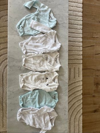 Lot 6 bodies