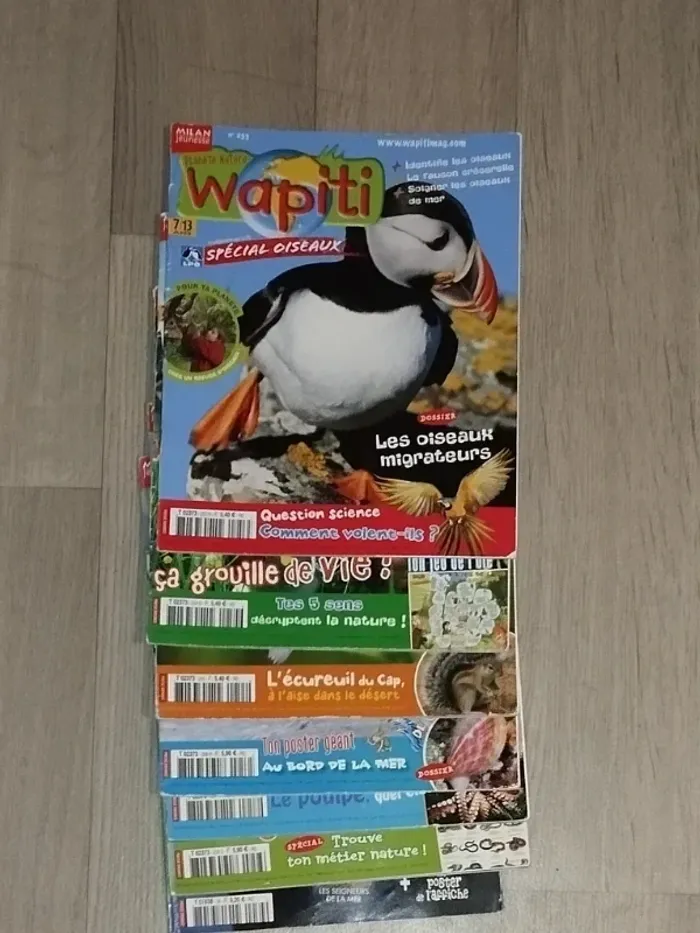 Lot de 7 magazines Wapiti année 2008 L024 - photo numéro 2