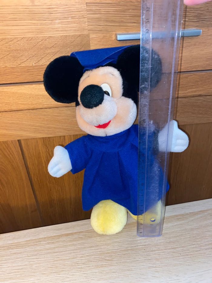 Peluche Mickey mouse Disney Disneyland Paris eurodisney diplôme étudiant baccalauréat graduation - photo numéro 2