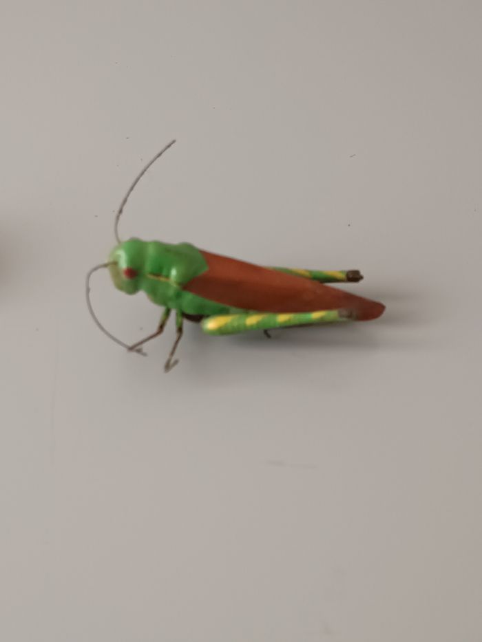 Aimant criquet - photo numéro 6