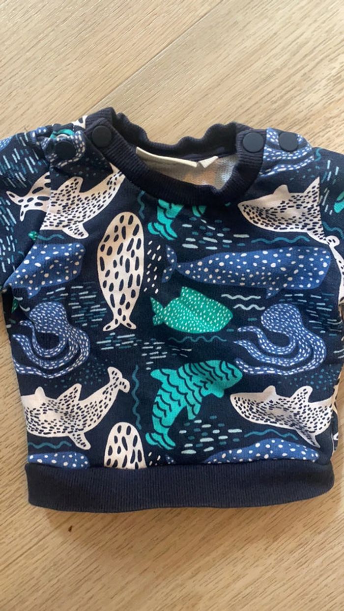 Lot de 4 pulls - photo numéro 7