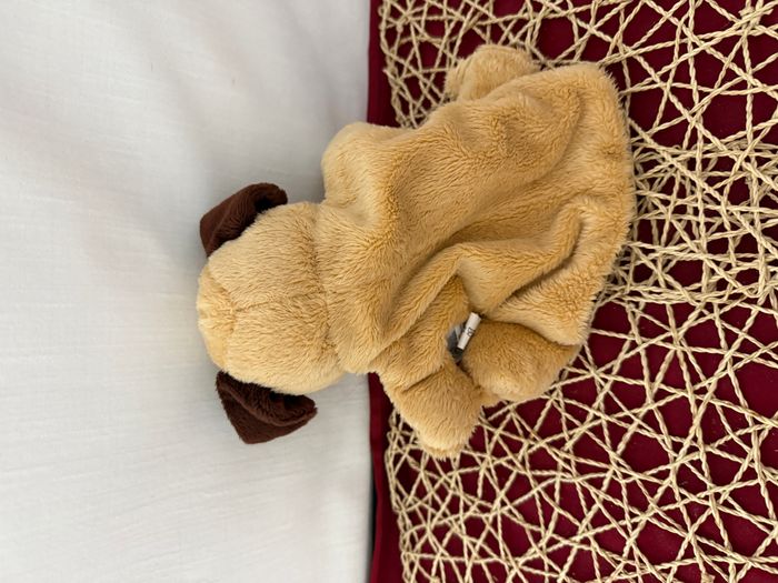 Histoire D' Ours Marionnette Chien - photo numéro 4