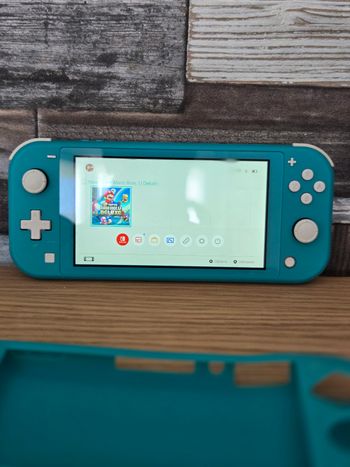 Switch lite