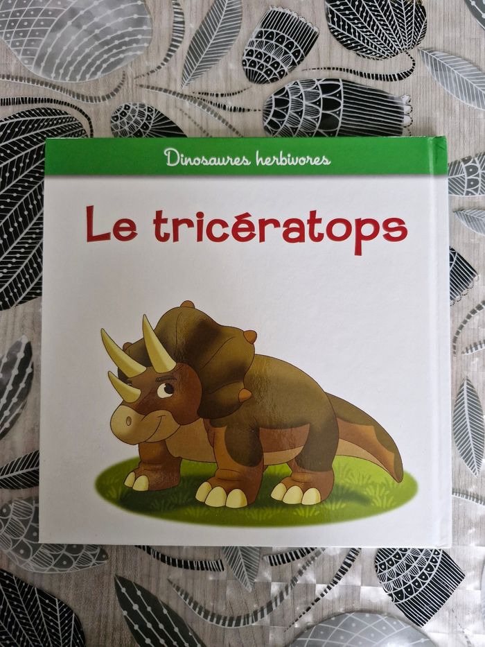 Livre enfant - photo numéro 2