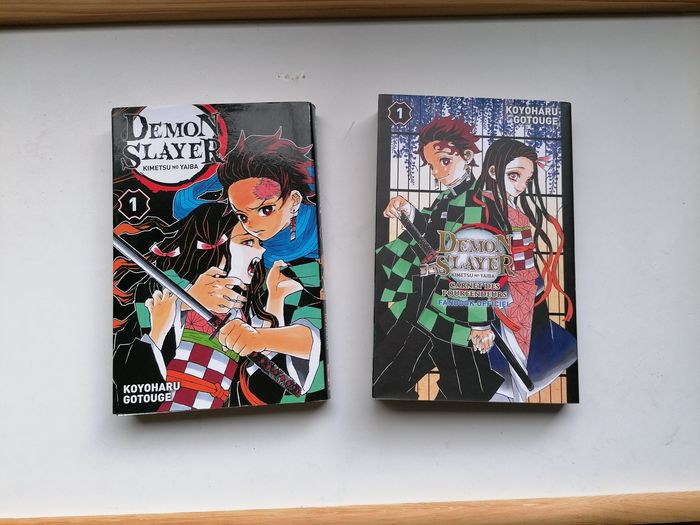 Demon slayer tome 1 + fanbook