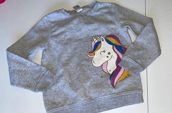 Pull licorne