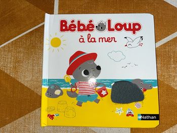 Bébé loup à la mer