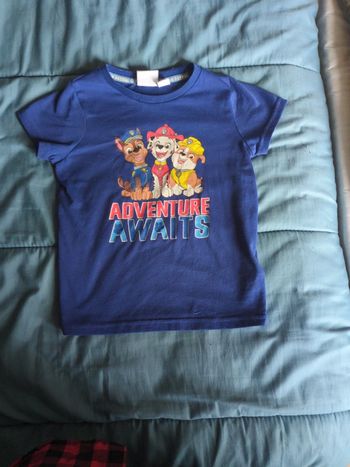 Tee shirt paw patrol