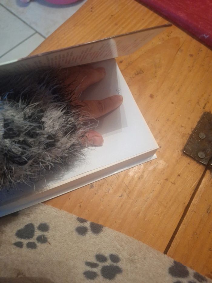 Livre roman pain - photo numéro 7