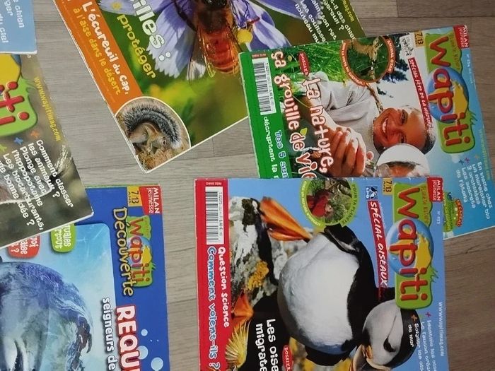 Lot de 7 magazines Wapiti année 2008 L024  7584488818 - photo numéro 7