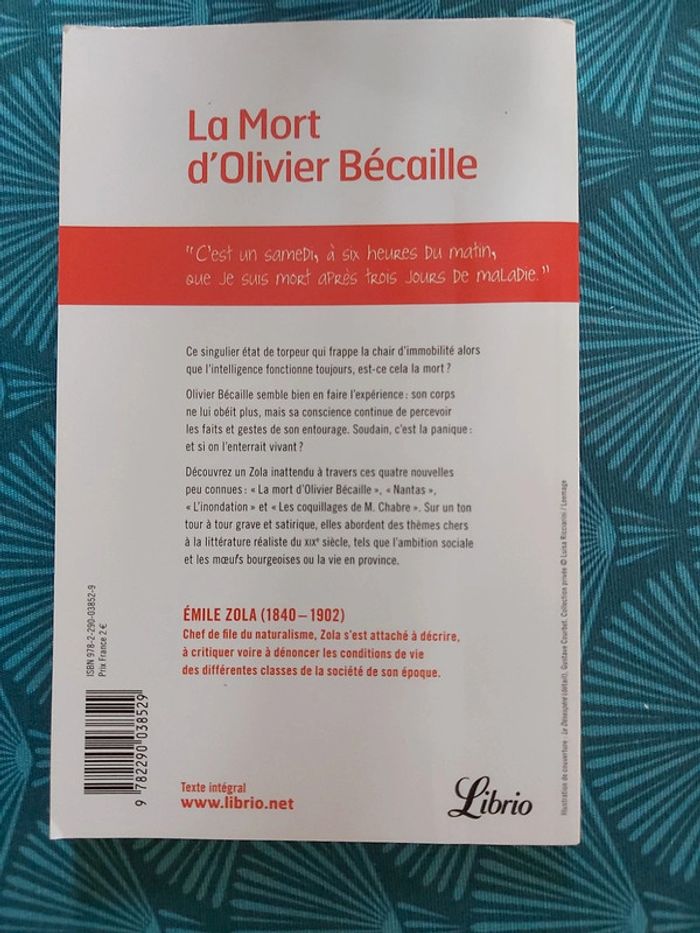 La mort d'Olivier Bécaille _ Émile Zola - photo numéro 2