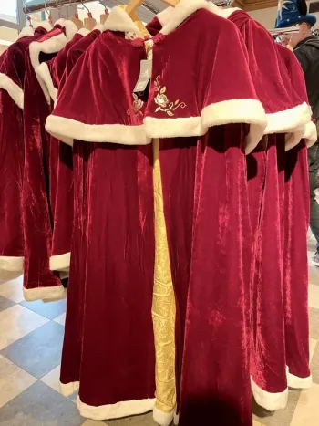 Cape adulte belle de Noël disney