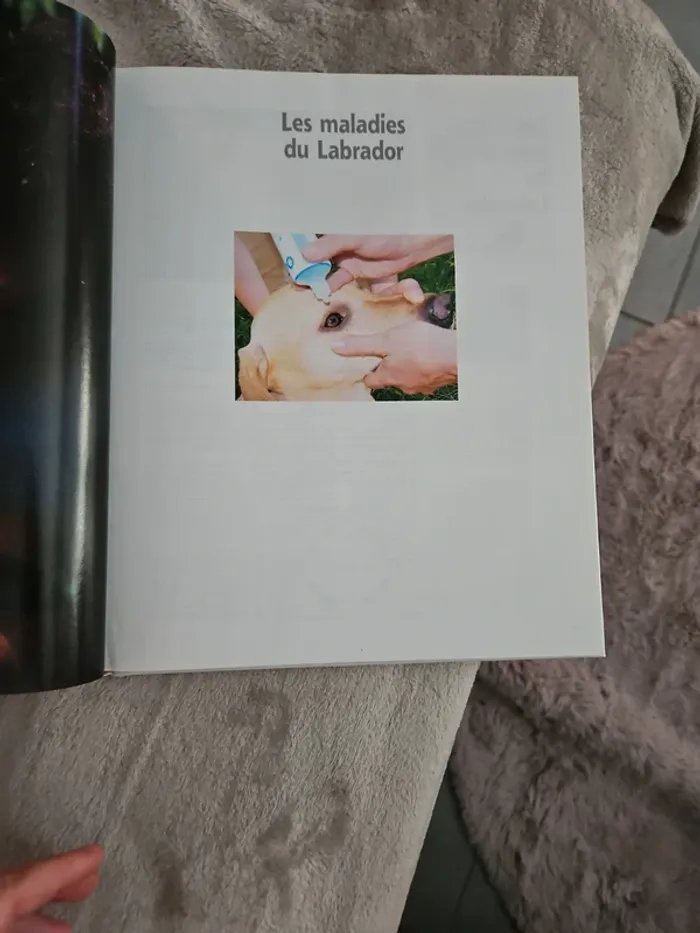 Encyclopédie du Labrador aniwa - photo numéro 3