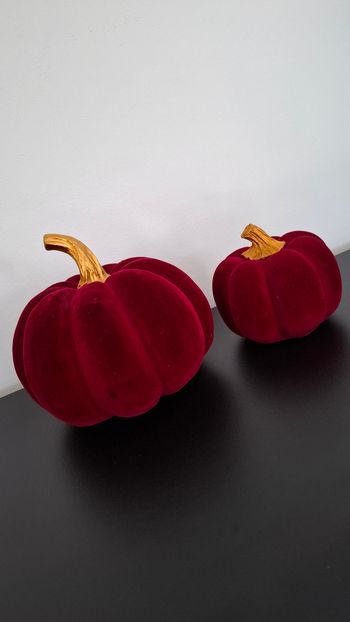 Lot de deux citrouilles automne déco rouge doré saison halloween Primark