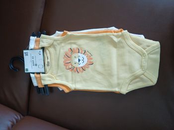 lot 3 bodies sans manches garcon gemo 67 cm 6 mois