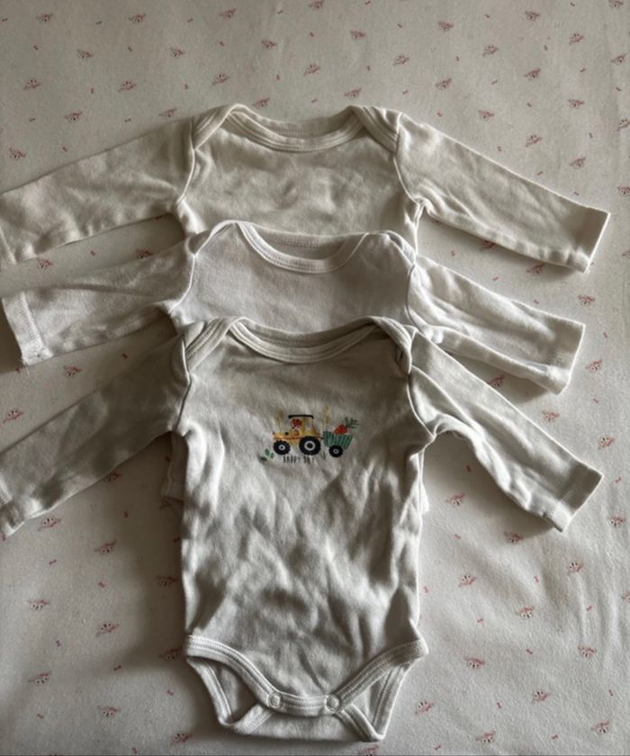 Lot bodies