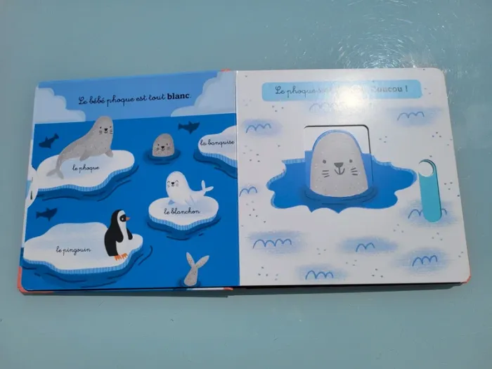 Livre animé à tirettes et roues  🦭 Les Animaux du Froid 🐧 58 - photo numéro 5
