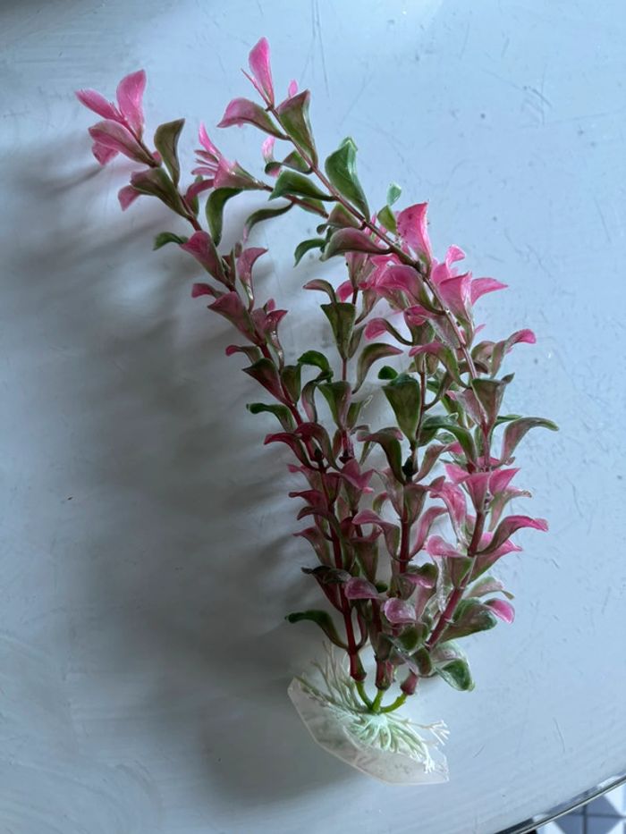 Plante en plastique pour aquarium