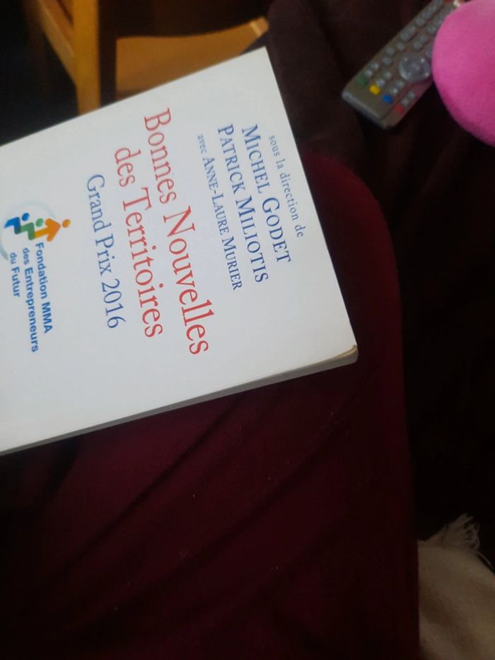 Livre bonnes nouvelles des territoires - photo numéro 4