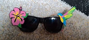 Lunettes de soleil rigolottes