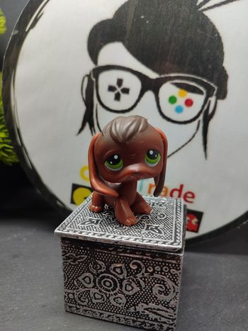 Lps01215 My Littlest Petshop Pet Shop LPS Authentic dog Beagle Chien 77 