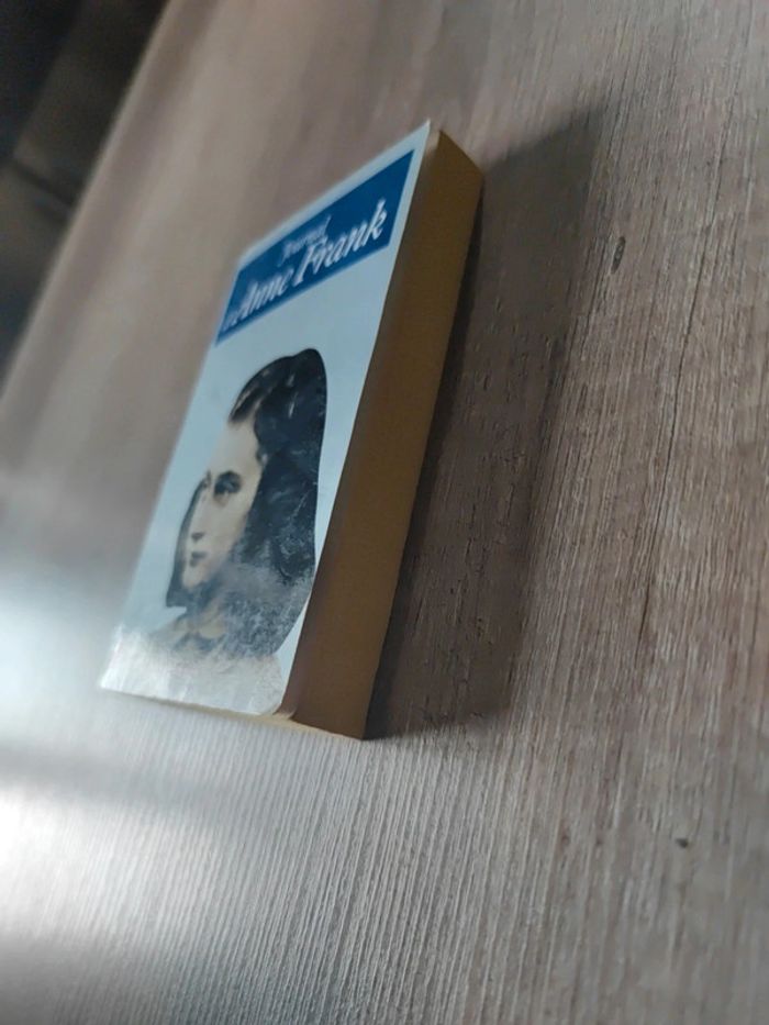 Journal d'Anne Frank - photo numéro 3