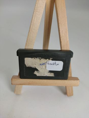 Nintendo Game Boy Advance GBA Franklin