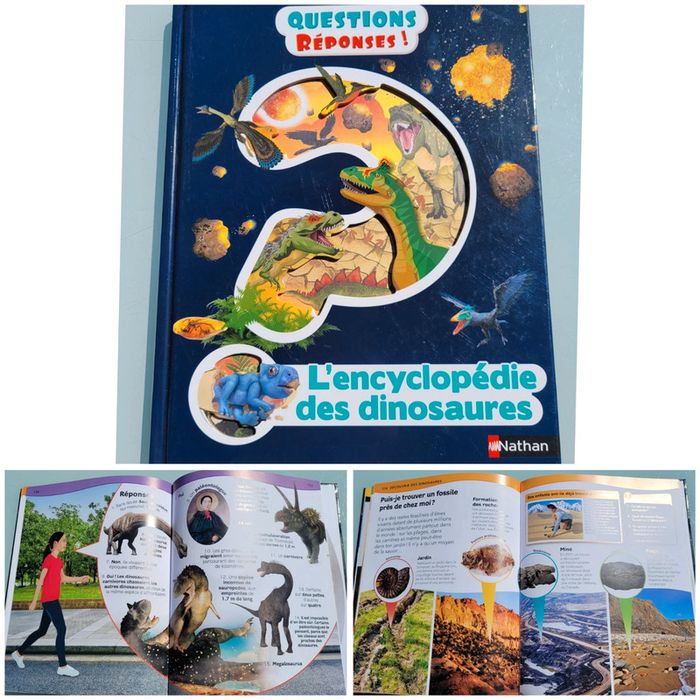 Questions ? Reponses! L'encyclopédie des dinosaures