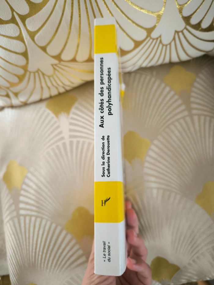 Aux côtés des personnes polyhandicapées guide pratique - photo numéro 3