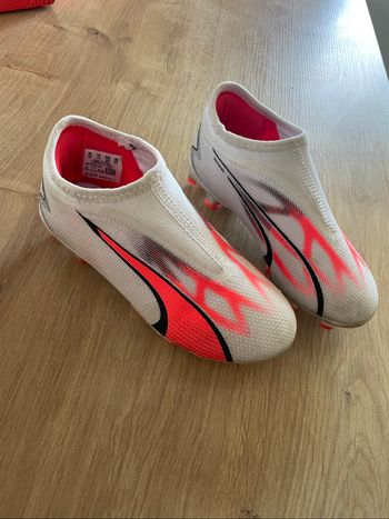 Crampon puma