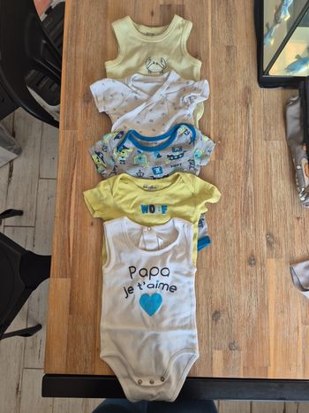 Lot de 5 bodies manche courte 12 mois
